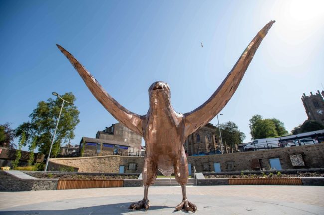 The Weavers Bird