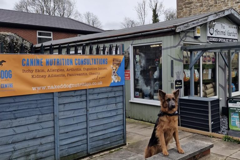 437601179_959781069483589_2824273293991535929_n