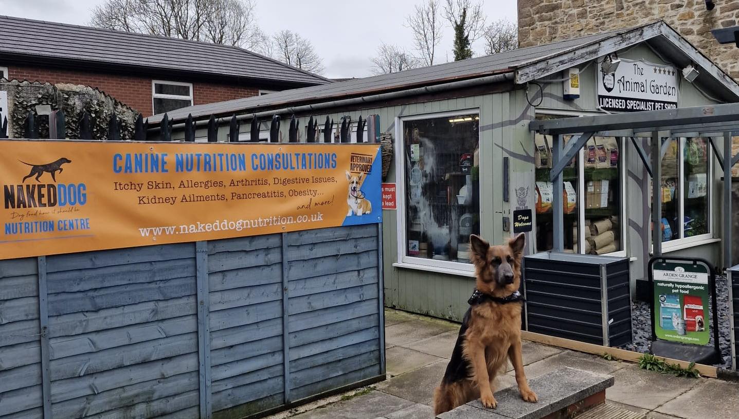 437601179_959781069483589_2824273293991535929_n